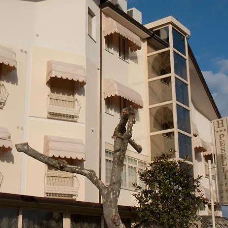 Peselli Hotell