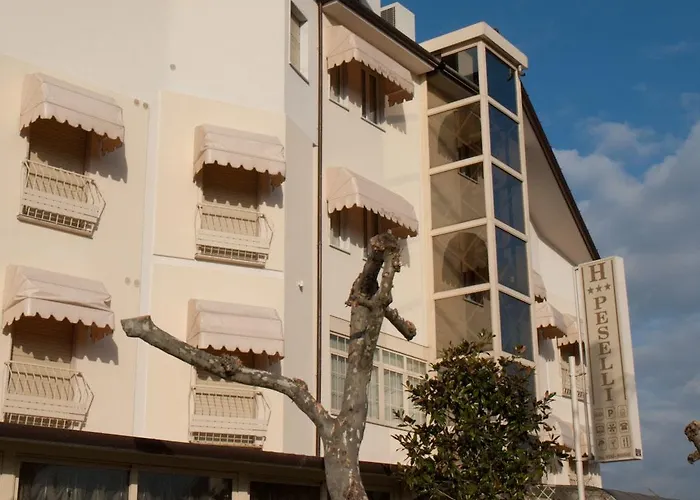 Peselli Hotel